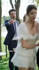 CEO's Daily Remarriage Plan FULL HD