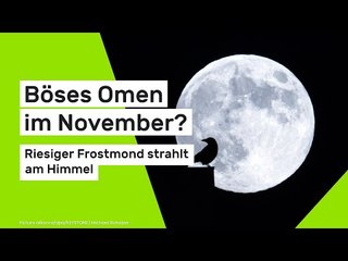 Vollmond am 05.11.2025: Böses Omen im November? Riesiger Frostmond strahlt am Himmel