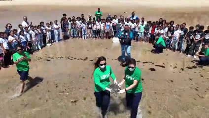 Biota realiza soltura de tartaruga na Praia de Riacho Doce, em Maceió