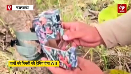 बाघों की गिनती की तैयारियां, वन अधिकारियों को किया जाएगा प्रशिक्षित, राजाजी राष्ट्रीय उद्यान में होगी ट्रेनिंग