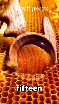 Turn nature’s gift into a business 🍯 Start your own honey harvesting business with low investment and high profits. Eco-friendly, in-demand, and perfect for rural or home-based setups. Would you try this idea? 👇 Follow Craf Reacts | DIY videos | crafts
