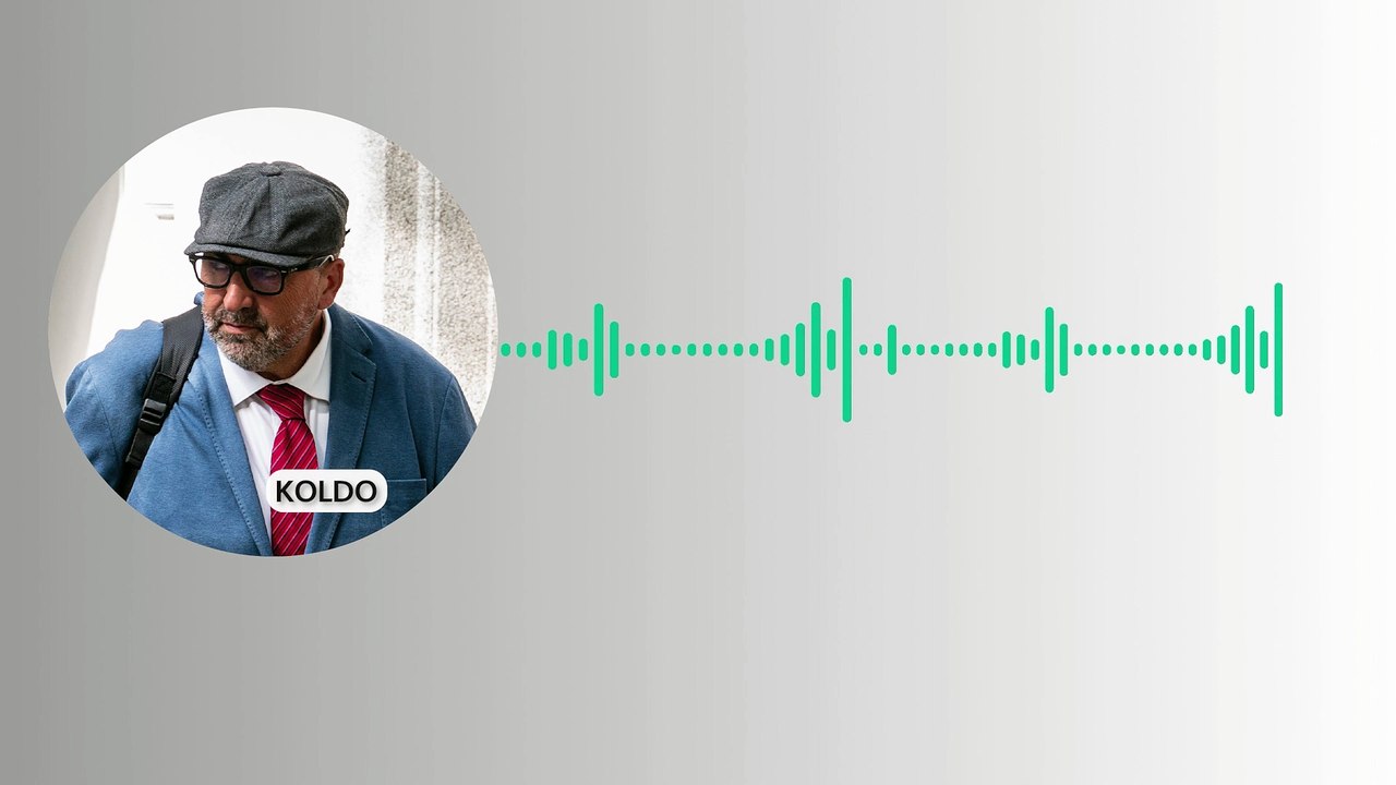 El audio de Koldo a Torres para vender los test covid de la trama a Canarias: "Tienen un nuevo protocolo con PCR muy interesante"