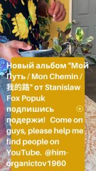 Stanislaw Fox Popuk — un artiste qui connecte les mondes à travers la musique !