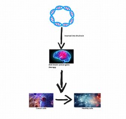 Gene therapy for turning brain cancer cells back into healthy cells