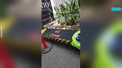 Spider Hilariously Jumps at Man During Filming