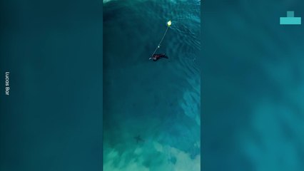 Endang Ered Leatherback Turtle Trapped in a Drum Line