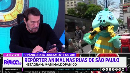 VIRGINIA VAI TRAZER HEXA PRO BRASIL? OU ZÉ FELIPE MARCA VINI JR IGUAL PÂNICO E NEYMAR? PAUTA ANIMAL