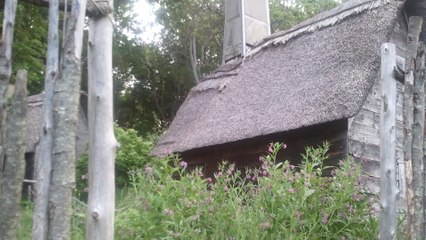 Les sorcières de Salem : la véritable histoire