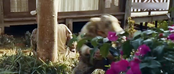 فيلم ( اختراق )في خضم معركة طاحنة، يتولى قنّاص ماهر مهمة مستحيلة خلف خطوط العدو