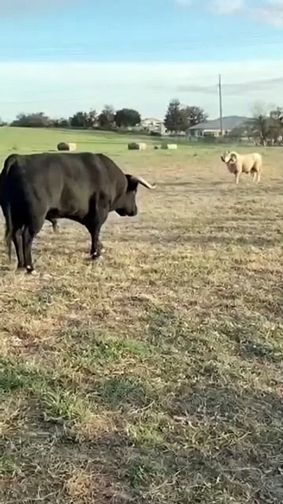 best moments, funny compilations, interesting facts, trending clips, countdowns, highlights, viral videos