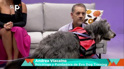 SLP Miércoles 29 oct entrevista 1