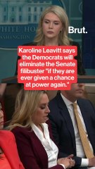 Karoline Leavitt says Democrats will eliminate the Senate filibuster "if they are ever given a chance at power again."