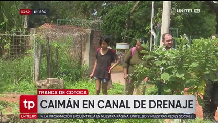 Un caimán sorprendió a vecinos en el canal de Cotoca, en Santa Cruz