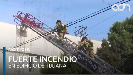 Bomberos heroicos en Tijuana, salvan vidas humanas y gatitos tras incendio en edificio