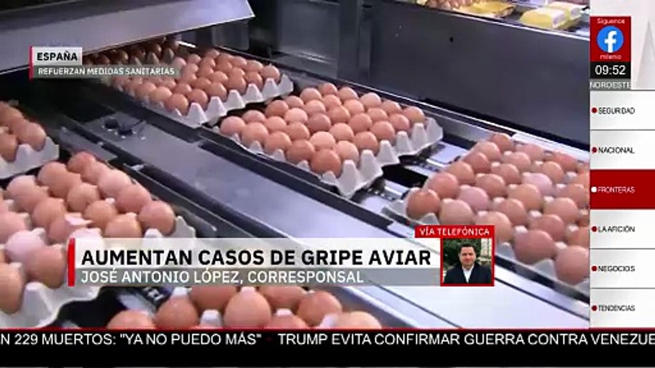 Aumentan los casos de gripe aviar en España y alertan a productores avícolas