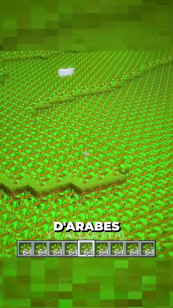 ⁣😎 rejoins le Discord dans ma bio #minecraft #mast