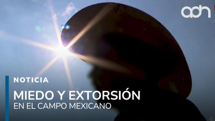 En el campo mexicano también se cosecha miedo, productores denuncian extorsiones