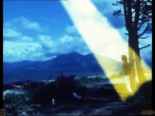 X-OR 19 - Transmutation