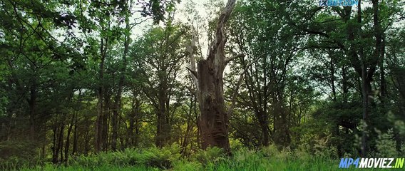 The Feast 2021 – Full Movie Telugu Dubbed