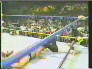 Ric Flair vs. Tatsumi Fujinami, WCW Title, 5-19-1991
