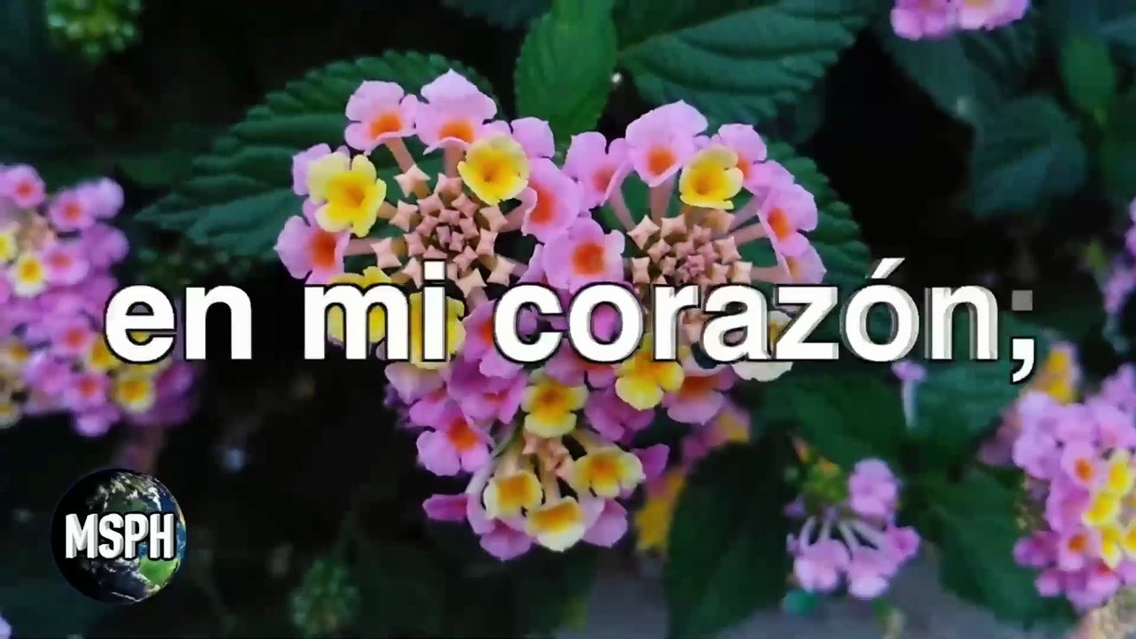 Despedida de santo Sábado de Jehová 5