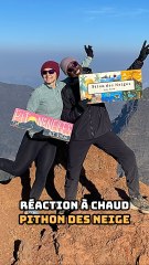 Le Python des Neiges : Première impression captivante ❄️