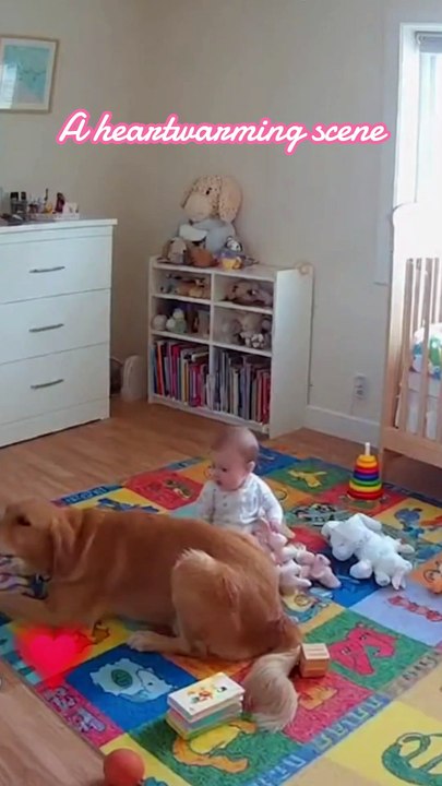 a heartwarming scene