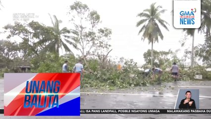 Ilang puno at poste ng kuryente sa Abuyog, bumagsak dahil sa Bagyong Tino; clearing operations, isinasagawa | Unang Balita