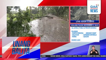 Brgy. Devera, pansamantalang nawalan ng supply ng kuryente matapos mabuwal ang ilang puno dahil sa Bagyong Tino | Unang Balita
