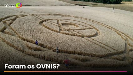 Figura geométrica aparece em plantação de trigo de cidade em Santa Catarina