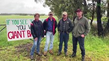Shady Creek farmers fight battery plan on 'prime farmland'