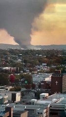 Avião de carga da UPS cai no Kentucky, Estados Unidos; veja imagens