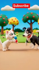 cat and dog funny video_cat and dog having fun #cat #catsanddogs