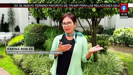 Avance en la Estrategia Nacional de Limpieza de Playas en México | Milenio Hábitat