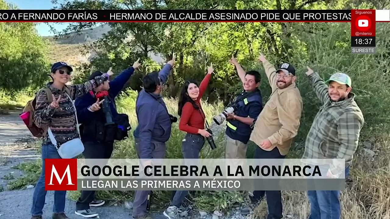 Google celebra a la mariposa monarca | Milenio Hábitat