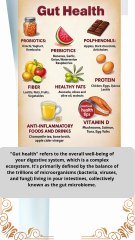 Why Gut Health is So Important