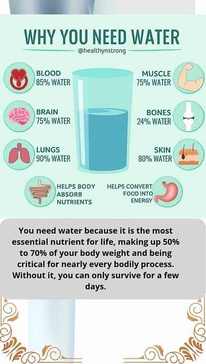 why you need water