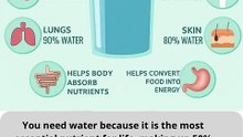 why you need water