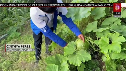 El proyecto "Humito", creado por estudiantes, busca rescatar la lengua y gastronomía chiapaneca