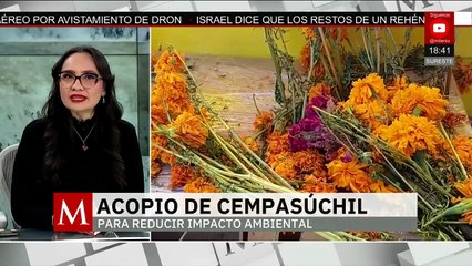 Habilitan centro de acopio para la recolección de flores de Cempasúchil en Puebla | Milenio Hábitat