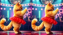hilarious cat videos funny dance - Pelangi Pelangi #catdance #catfunny
