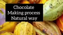 How chocolate is made, naturally