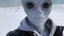 Alien in Antarctic