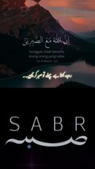 sabar ka phal || 1 million followers #islamicknowledge #ajmalrazaqadri #molanatariqjameel #jashaneidmiladnabi #unfrezzmyaccount #quran #madina #trending #islamic #islam #muslim #viral #1millionviews #capcut