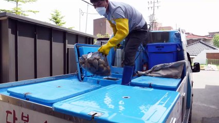 Unbelievable! 10 Tons of Clams Every Month 😱 | ₩12 Million Daily Sales 💰 | Korean Steamed Clam Hot Pot 🇰🇷🔥