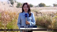 [날씨]온화한 가을, 은빛 억새 물결…더 커진 일교차 유의