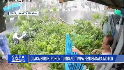 Terekam CCTV! Pengendara Motor Tertimpa Pohon Tumbang, Korban Alami Luka Ringan