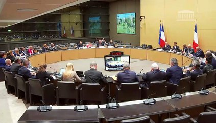 Commission des affaires économiques : Enjeux agricoles européens - Mardi 4 novembre 2025
