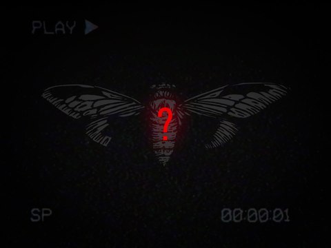 CICADA 3301 El Mayor Misterio de Internet