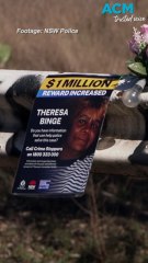 Reward increased to $1,000,000 in Theresa Binge case